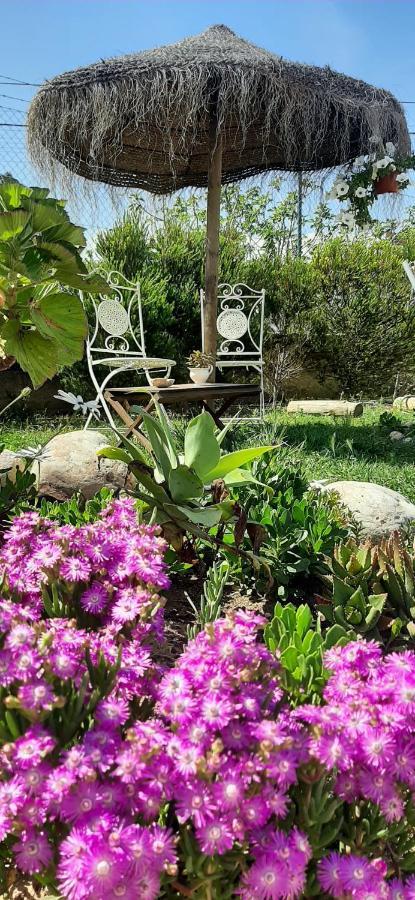 Blacksheep Sagres Guesthouse & Surf 외부 사진