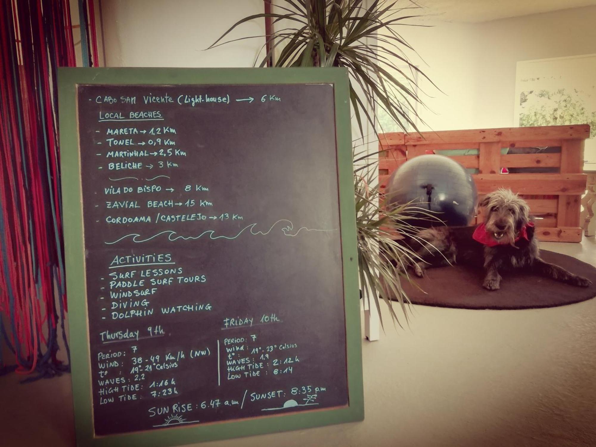 Blacksheep Sagres Guesthouse & Surf 외부 사진